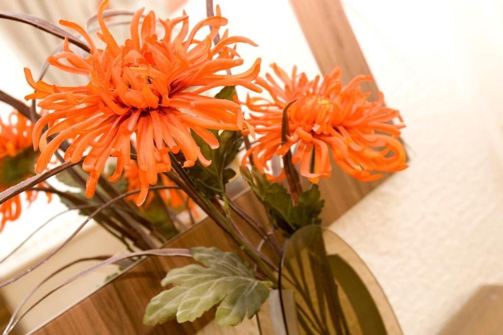 Valentine Lodge Over 21 Adult Couples Only Blackpool Værelse billede